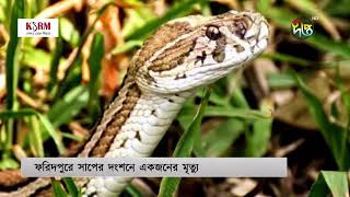 ফরিদপুরে সাপের কামড়ে কৃষকের মৃত্যু  Faridpur  Russell Viper  Deepto News [upl. by Magdalena171]