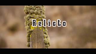 Relicto fray Jorge bosque de la camanchaca short doc Chile subtitles [upl. by Dnalrah]