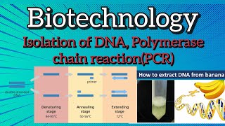 Polymerase chain reaction PCR l isolation of DNA biology [upl. by Jasisa]