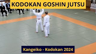 Kodokan Goshin jutsu  Kangeiko Kodokan 2024 [upl. by Berhley]