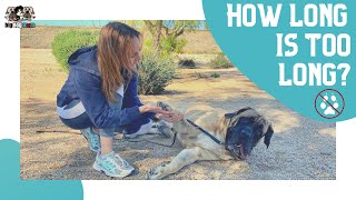 How To Tell If Your Dogs Nails Are Too Long AND Why It Matters PLUS DEMO [upl. by Viveca]