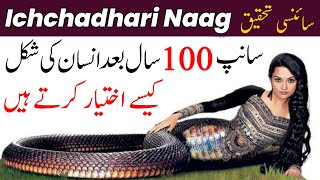 Do Snakes become human after 100 Years  Ichchadhari naag [upl. by Attenehs]