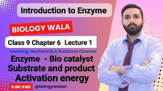 Class 9  Biology  Chapter 6  Lecture 1  Topic Enzyme Introduction  Biology Wala [upl. by Atikihs]