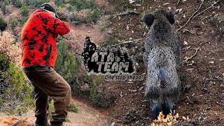 ATA TEAM Domuz Avı S09E04 Wildboar Hunting [upl. by Dominic]