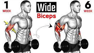 15 BEST Exercises for WIDER BICEPS [upl. by Arnelle]