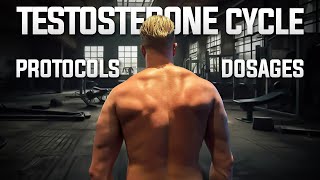 Staying Healthy During a Steroid Cycle Quick Guide Under 9 Minutes [upl. by Ayala]