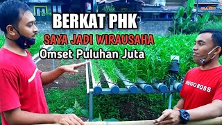 Petani Kangkung Hidroponik Dengan Omset puluhan Juta Rupiah [upl. by Htrag]