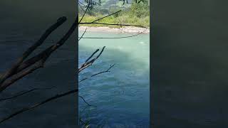 Upper reaches of the Salzach River nature alps river shorts [upl. by Naval871]