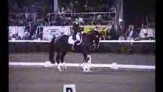 Gifted Dressage at Devon 1995 [upl. by Tiffanie]