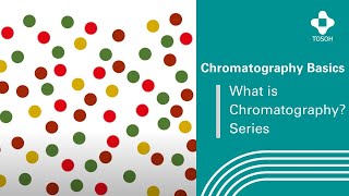 Tosoh Basics  What is chromatography [upl. by Nagad]