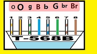 Network PlusT568B Standard memorize fast [upl. by Eberle802]