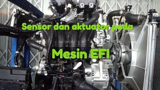 LETAK SENSOR DAN AKTUATOR PADA MESIN EFI [upl. by Jaquenette148]