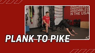 Plank to Pike  Cable Machine Exercise [upl. by Giwdul]