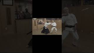 Karate Vs the Samurai Sword martialarts karate [upl. by Yeltrab833]