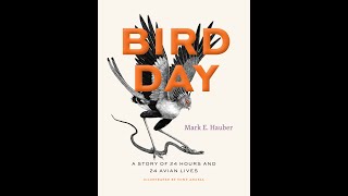 BIRD DAY Book Trailer [upl. by Gino]