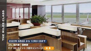 JAL FLYONポイント2倍キャンペーン2022 解説 [upl. by Kolb]