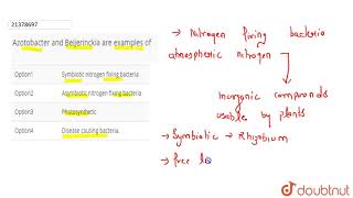 Azotobacter and Beijerinckia are examples of [upl. by Hevak]