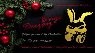 Se esta acabando el año Mix Diciembre Bugs Deejay Felipe Garcia [upl. by Carberry]