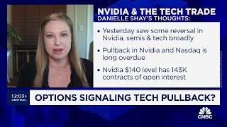 Nvidia pullback may bleed into other stocks says Simpler Tradings Danielle Shay [upl. by Aisauqal]