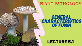 General characteristics of fungi  fungi plant pathology  Lecture 51  Abhay Sir  AgriMoon [upl. by Gwynne859]