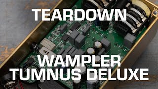 Wampler Tumnus Deluxe Teardown See whats inside [upl. by Aiciles]