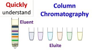 Column chromatography [upl. by Ahtiekal467]