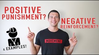 Examples of Positive and Negative Reinforcement and Punishment Operant Conditioning Explained [upl. by Atiek]