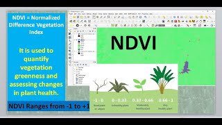 Calculate NDVI using QGIS and Landsat 8 Images [upl. by Jenei]