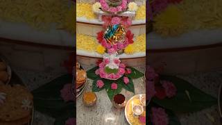 Ganesha Chathurthy Celebration from our Terrace Garden Flowers Happy Gowri Ganesha shorts [upl. by Nirrat]