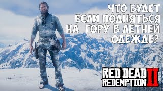 ЧТО БУДЕТ ЕСЛИ ПОДНЯТЬСЯ НА ГОРУ В ЛЕТНЕЙ ОДЕЖДЕ  RDR 2 Выпуск 2 [upl. by Shoshanna]