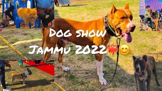 DOG SHOW 2022🔥  DifferentTypes OF Dogs😍  SHER  E  KASHMIR University Jammu  ibu choudhary [upl. by Roose10]