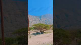 Omaner jeview carley foryou freefire trending reels vairalvideo [upl. by Salbu]