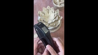 How to use a garlic press ❤️ by juniperandlarkceramics [upl. by Annawt]