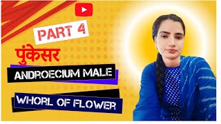 पुंकेसर  Androecium  Male whorl of flower  Part 4 [upl. by Ruamaj]