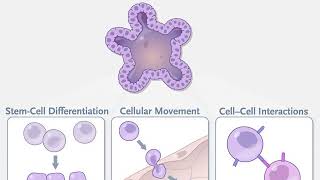 Organoid Technologies in Research [upl. by Anippesuig860]