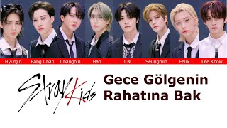 Stray Kids  Gece Gölgenin Rahatına Bak AI Cover [upl. by Dwane]