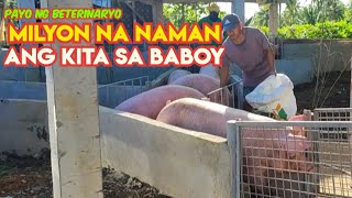 Maging Milyonaryo sa Pagaalaga ng Baboy  CosttoProduce Q2 2023 [upl. by Sanderson]