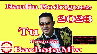 BACHATA MIX 1Dominicana RaulinRodriguez 2024 Tu Favorita New Bachata Mix Bachata Rapida Mix [upl. by Olegnaleahcim205]