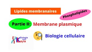 Lipides membranaires Phospholipides Membrane plasmique [upl. by Ailahk902]