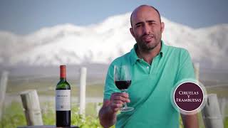 Trivento Malbec [upl. by Iras]