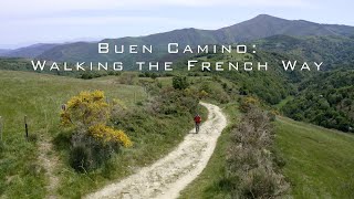 Buen Camino Walking the French Way Documentary [upl. by Llerrah]