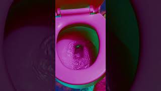 Toilet Flushing Sound shorts [upl. by Eelyak]