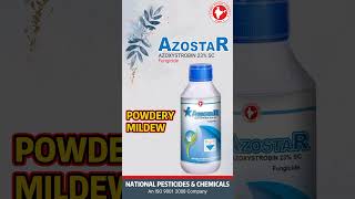 AZOSTAR  Azoxystrobin 23 SC Fungicide [upl. by Schnabel566]