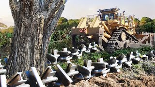 Clearing Wooded Land with Anchor Chain and Bulldozer [upl. by Neenahs]