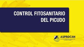 5 CONTROL FITOSANITARIO DEL PICUDO [upl. by Stewart]