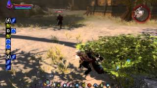 Kingdoms of Amalur Reckoning Combos  Sorcery [upl. by Twum495]