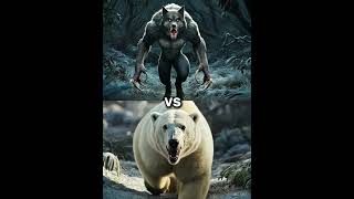 Werewolf vs Polar Bear vs White Animals Lion Tiger Wolf blackpanther king kong Yeti hyena [upl. by Bibby]