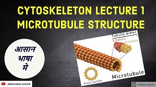 Cytoskeleton Part 1  Microtubule [upl. by Akenet]