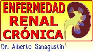 ENFERMEDAD RENAL CRÓNICA ✅ fisiopatología clínica diagnòstico y tratamiento [upl. by Bubb]