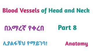 Anatomy ǀ Blood VesselsSupply of Head and Neck Supportive Video with Amharic Speech Part 8 [upl. by Quintie344]